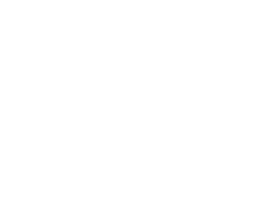 Chan Brothers Travel logo