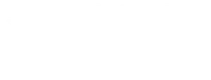 National Environment Agency logo