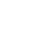 The Nex Carnival logo