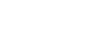 Wild Wild Wet logo